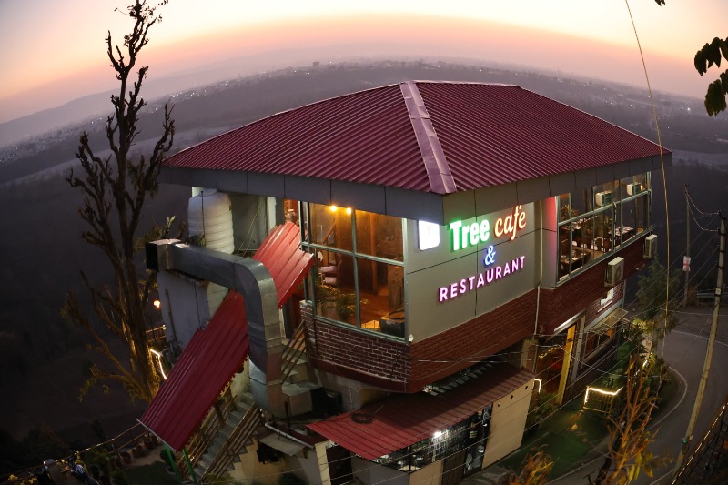 Tree Cafe Restaurant in Dehradun