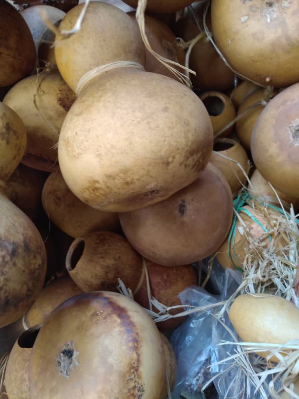 Services - Astrology / Numerology