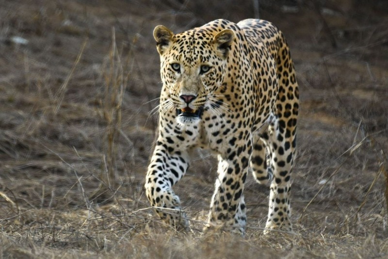 Services - Vacation / Tour Packages