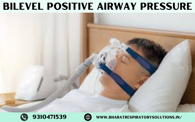 Services - Healthcare / Fitness