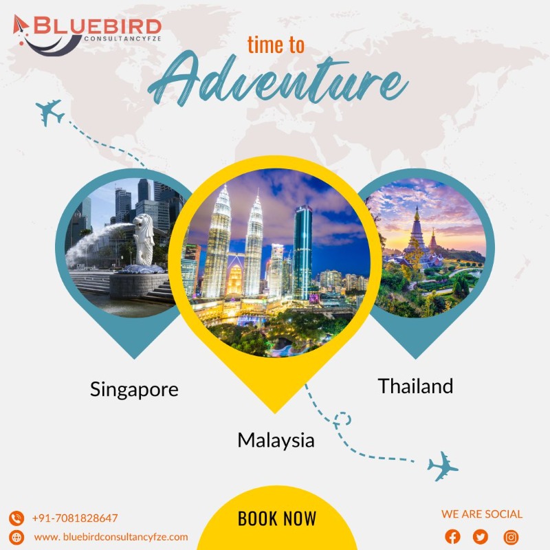 Services - Vacation / Tour Packages