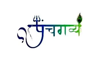 Services - Healthcare / Fitness