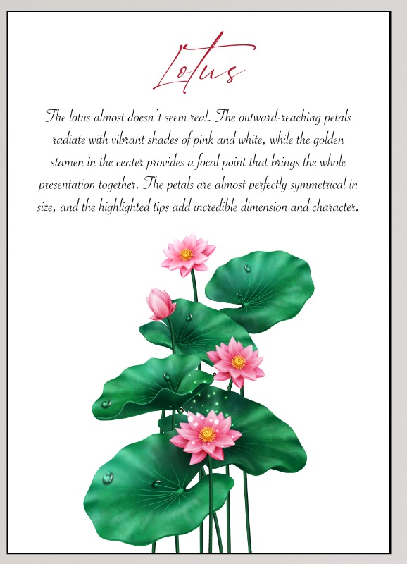 Education - Text Books / Materials