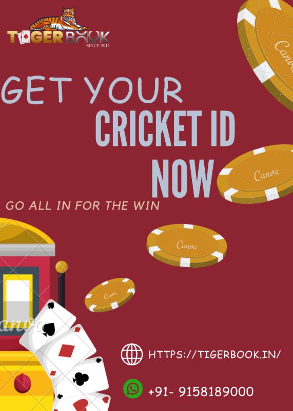 Entertainment - Others