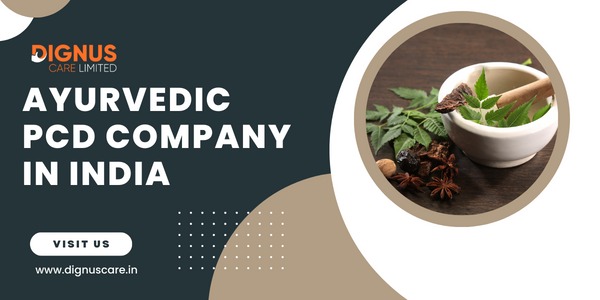 Lifestyle - Everything Else