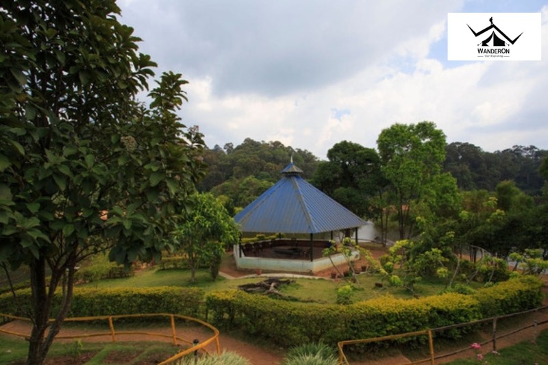 Services - Vacation / Tour Packages