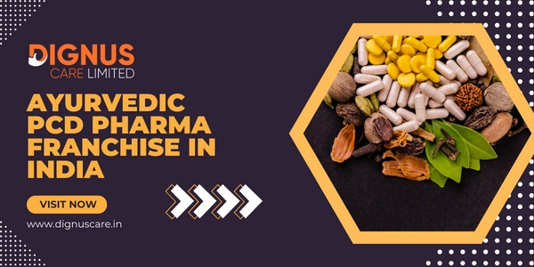 Services - Healthcare / Fitness