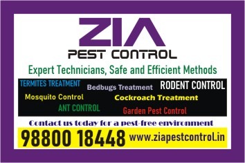Bedbug and Rodent Control | Pest Control service in Bangalore | 1821