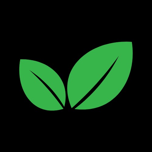 Are Oranges Good For Weight Loss?