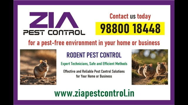 Zia Pest Control | get rid of pests | pest-free environment | 1734