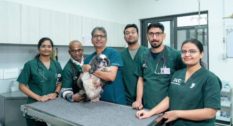 Pets n Care - Pet Clinics