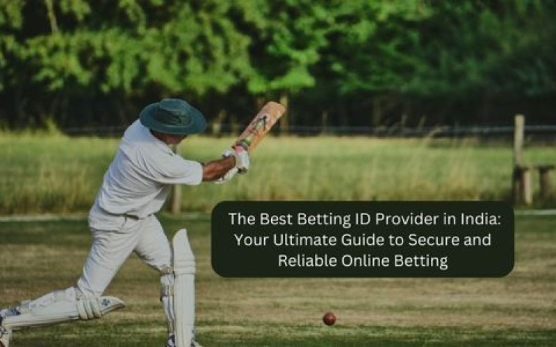 Entertainment - Others