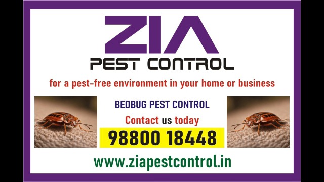 K R Puram Pest Control Service | Bedbugs treatment | Upto 25% Off | 3050