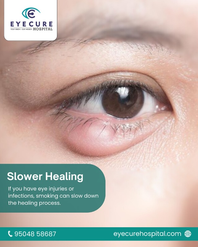 Services - Healthcare / Fitness