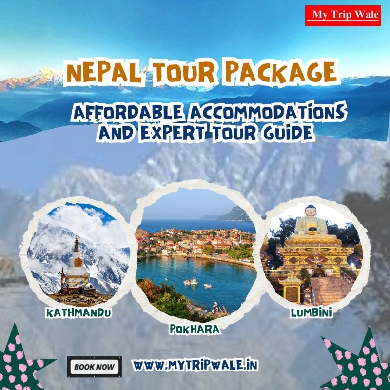 Services - Vacation / Tour Packages