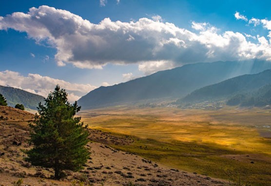 Services - Vacation / Tour Packages