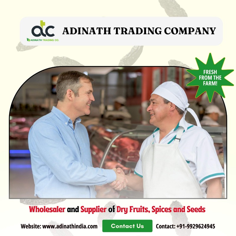 Lifestyle - Wholesale / Bulk