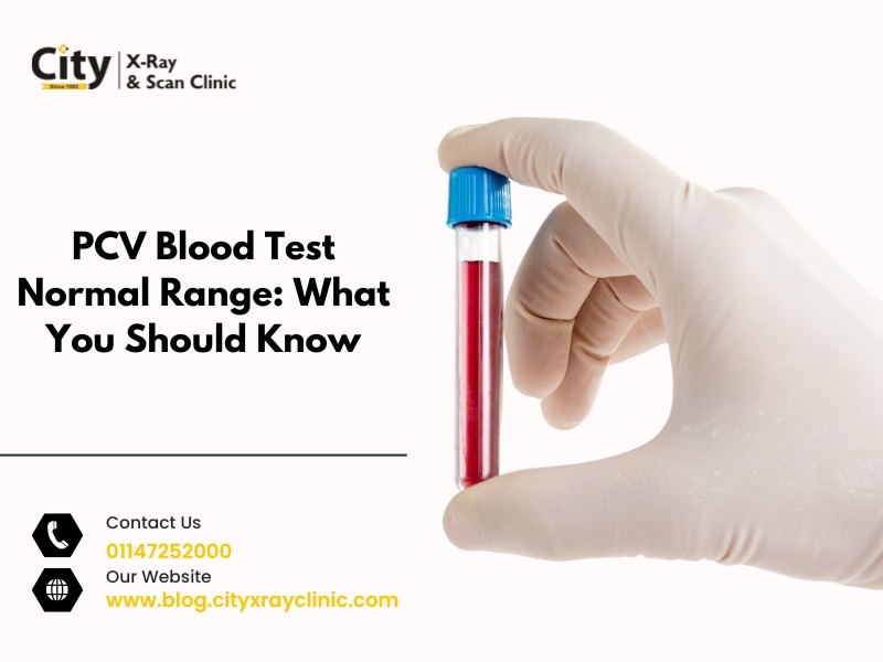 Services - Healthcare / Fitness