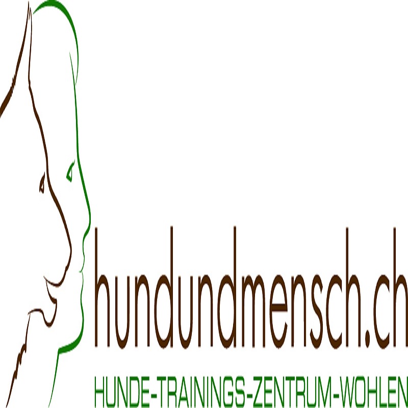 Professionelle Hundeschule in der Schweiz