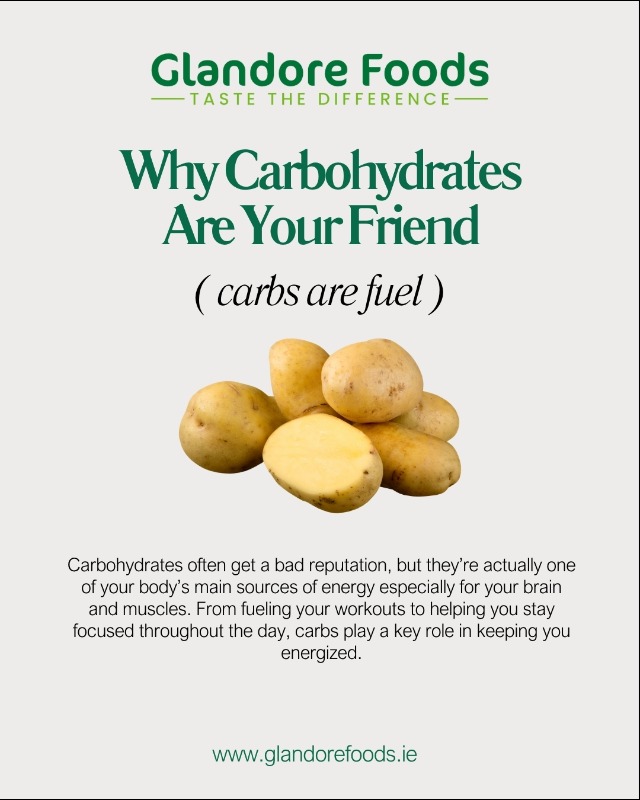 Services - Catering / Tiffin Service