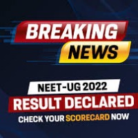 Entertainment - Others