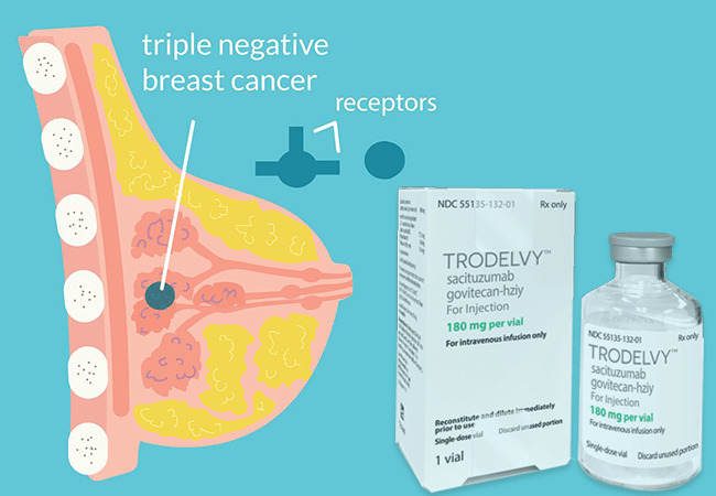 Services - Healthcare / Fitness