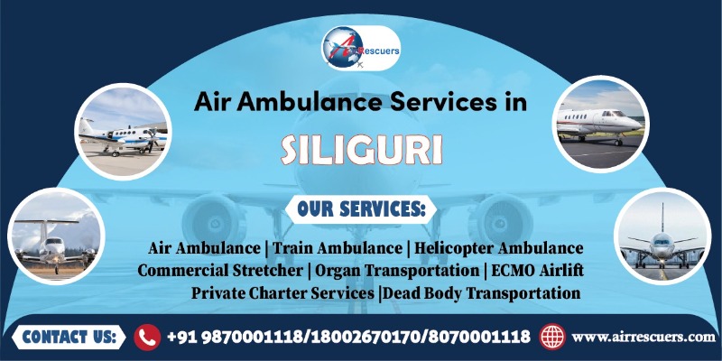 Services - Healthcare / Fitness