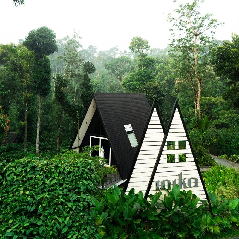 Services - Hotels / Resorts