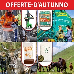 Offerings - Anything on Sale