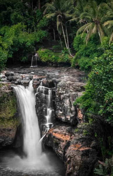 Services - Travel Agents