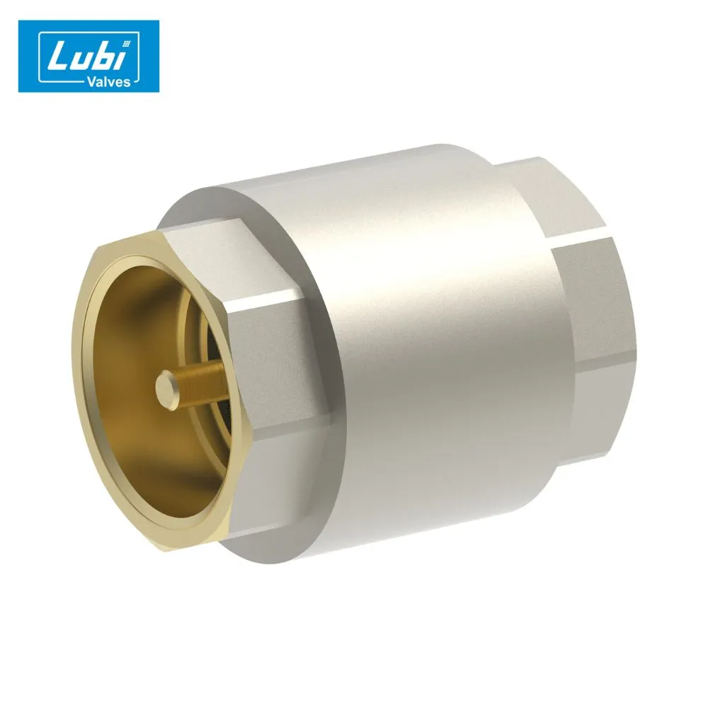 Top-Quality Brass Non Return Valve – Trusted Since 1965 by Lubi Valve