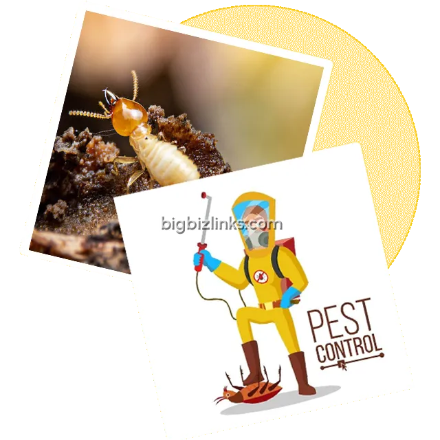 Home Cleaning & Pest