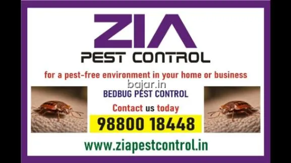 Bed Bugs Control | Appartments | Paying Guest | Zia Pest Control | 236