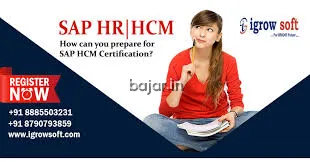 SAP HR HCM Online Training in Hyderabad | Igrowsoft