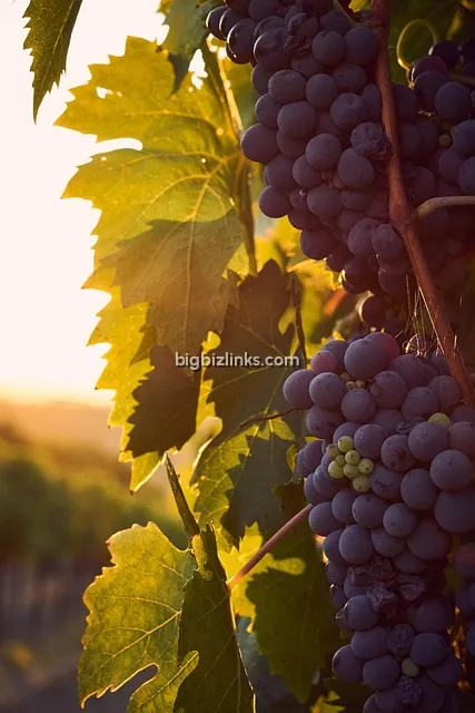 Tuscany Travel Guide – Best Places to Visit in Tuscany