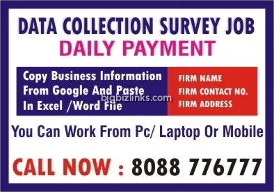 Data Collection Jobs | Daily Income | Data entry jobs near me | Survey Jobs | 231