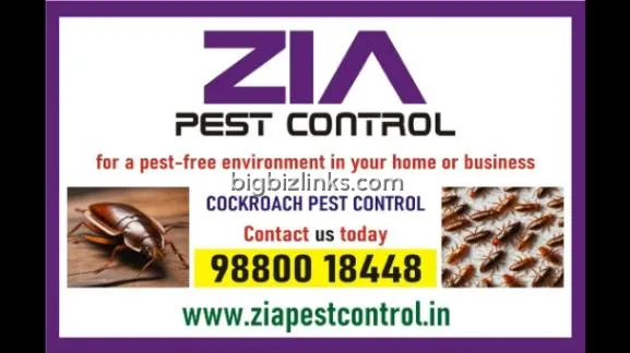 Cockroach Service | No More Cockroaches | Contact for Special discount | 341