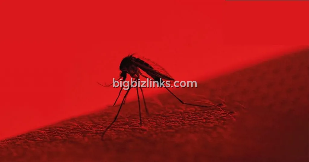 Sorna Valli Mosquito Nets